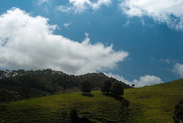 Elaboração de prad