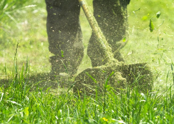 Empresa de capinagem no Rio de Janeiro