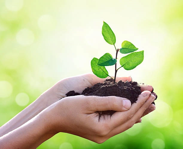 Plano de recuperação de área degradada